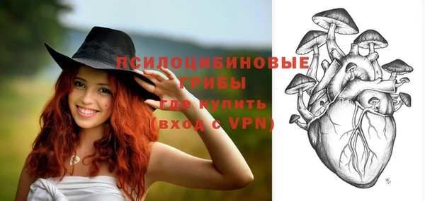 ГАЛЛЮЦИНОГЕННЫЕ ГРИБЫ Алексеевка