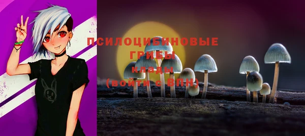 ГАЛЛЮЦИНОГЕННЫЕ ГРИБЫ Алексеевка