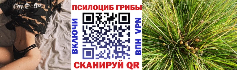 Галлюциногенные грибы ЛСД  Арсеньев 
